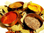 Afsari is a master at blending spices including cumin, garam masala and tumeric in her delicious curries.